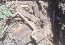 Descoperire istorică făcută de un detectorist sucevean în pădurea din Frasin: resturi de ladă militară și aproape 100 de cartușe germane din 1939