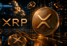 Prețul XRP a scăzut cu aproape 71% față de maximul său — SHRMiner le oferă deținătorilor o altă modalitate de a genera un venit pasiv zilnic de 3.000 USD din criptomonedele neutilizate