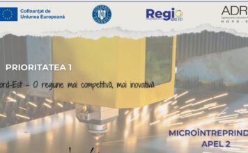 O nouă șansă la competitivitate pentru microîntreprinderile din Nord-Est