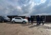 Bărbat reținut în arest în cazul uciderii ilegale a unor câini la un adăpost privat din Berchișești