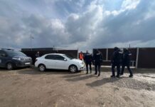 Bărbat reținut în arest în cazul uciderii ilegale a unor câini la un adăpost privat din Berchișești