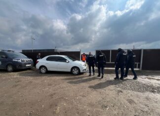 Medic veterinar pus sub control judiciar după eutanasierea ilegală a 662 de câini într-un adăpost privat din Berchișești