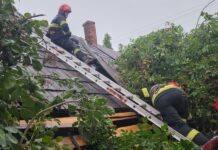 Furtuna de joi seară a doborât arbori și a smuls acoperișuri în județul Suceava. Intervenții ISU la Salcea, Râșca, Ciumârna și Moara