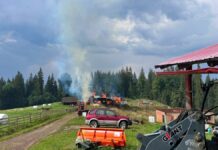 Incendiu provocat de trăsnet în Dornișoara. Un fânar și un adăpost de animale au ars complet