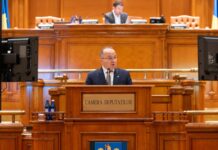 Deputatul de Suceava Petru Gabriel Negrea cere salvarea caselor tradiționale din Bucovina