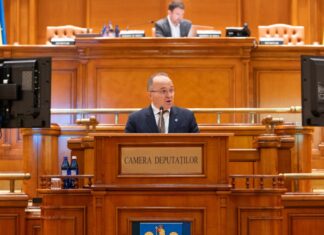 Deputatul de Suceava Petru Gabriel Negrea cere salvarea caselor tradiționale din Bucovina