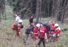 Bărbat din Broșteni rănit grav după ce s-a răsturnat cu un jeep pe un drum forestier din Dârmoxa