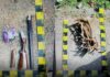 Bărbat din Izvoarele Sucevei reținut în arest după ce a fost depistat având în mașină o armă de vânătoare nedeclarată și coarne de cerb