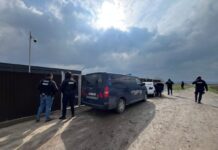 Control ANSVSA la adăpostul privat de câini din Berchișești: Activitate suspendată și amendă de 15.000 de lei