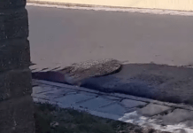 VIDEO//Capacul de canalizare săltăreț de la Salcea. Primarul spune că fenomenul s-a produs de la gazele generate de deșeurile aruncate în canal