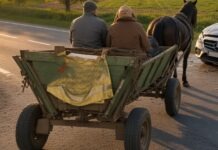 O femeie rănită și un autoturism în stâlp după ce un căruțaș nu a acordat prioritate la intrarea pe DN 29 A