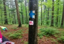 Pelerinaj pe Via Mariae Neamț-Suceava: cinci zile, 85 de kilometri și șase mănăstiri. Înscrierile au început
