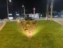 Primarul Vasile Rîmbu consideră că „insula verde” la intersecția Calea Unirii – Traian Vuia nu e doar decor, ci e decență vizuală