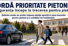 Polițiștii suceveni cer șoferilor să oprească la trecerile pentru pietoni: „Un gest simplu poate salva o viață”