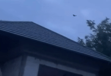 Alertă aeriană în Botoșani și Suceava. Două F-16 au decolat după o țintă detectată lângă graniță