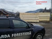 Garda Forestieră Suceava: 125 mc tăiați ilegal în iulie, amenzi de 142.500 de lei și 323 mc de lemn confiscat