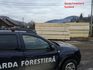 Garda Forestieră Suceava: 125 mc tăiați ilegal în iulie, amenzi de 142.500 de lei și 323 mc de lemn confiscat