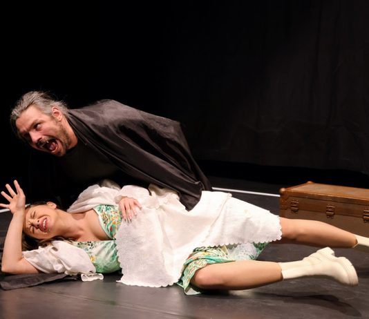 „Occident Express Ro” de Matei Vișniec, în regia lui Alain Timár, se joacă pe 27 septembrie din nou la Teatrul Municipal din Suceava