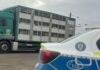 Transport de purcei oprit la Dărmănești: DSVSA verifică neconcordanțele dintre acte și animale