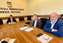 Două focare de rabie confirmate la Zamostea și Solca. Prefectul a convocat Centrul Local de Combatere a Bolilor