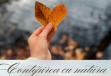 Tineri din Bucovina își expun experiențele Erasmus+ într-o expoziție de fotografie la Rădăuți