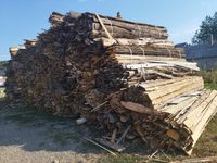 Garda Forestieră Suceava: amenzi de 232.000 de lei și 1.361 mc de lemn confiscați în septembrie
