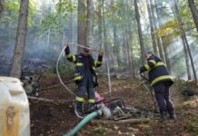 A treia zi de intervenții pentru stingerea focarelor ascunse la incendiul din fondul forestier Marginea. Peste 15 hectare afectate