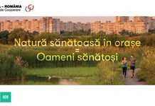 Suceava, inclusă într-un proiect național pentru protejarea naturii urbane. Cel puțin 200 de voluntari vor fi implicați în monitorizarea și promovarea spațiilor naturale