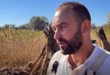 La Costâna, un lan de cânepă arată ce se poate face din plantă, de la lapte și săpun până la pereți de casă