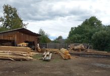 Transporturi de lemn cu documente fictive, descoperite la Bilca și Vicovu de Sus. Peste 160 de metri cubi, în afara evidențelor legale
