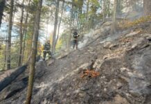 Incendiu de vegetație pe 15 hectare în fondul forestier de la Marginea. Peste 100 de pompieri și silvicultori intervin pentru stingere