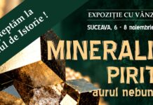 Ediția de toamnă a Mineralia va fi găzduită de Muzeul de Istorie din Suceava: Pirita-„Aurul nebunilor” vedeta ediției