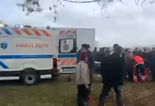 Două persoane au fost rănite în incidente separate la târgul de cai din Satu Mare. Un adolescent a fost proiectat într-un copac, iar un bărbat a fost lovit cu copita