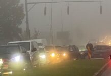 Cod galben de ceață densă prelungit în județul Suceava. Vizibilitate redusă sub 200 de metri, izolat sub 50 de metri