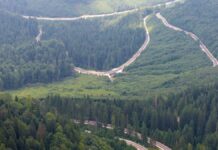 Drumul Talienilor, la ceas de toamnă: păduri arămii și peste un secol de istorie, între Mălini și Pasul Stânișoara