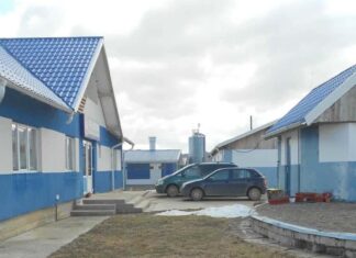 Firma din Satu Mare: camionul cu purcei oprit la Dărmănești nu a fost indisponibilizat. La Milișăuți, licitația s-a încheiat pe 5 martie
