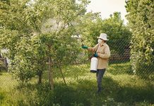 Vrei o pompă de stropit cu acumulator care să dea randament? 7 lucruri pe care să le verifici înainte să cumperi una