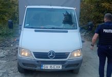 Acțiune a poliție în zona Gălănești- Putna- Bilca: amenzi de peste 27.000 de lei și 12 metri cubi de lemn confiscați