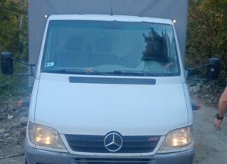 Acțiuni ale polițiștilor suceveni împotriva transporturilor ilegale de lemn: peste 9 metri cubi de material lemnos confiscați și o autoutilitară indisponibilizată
