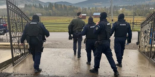 Percheziții într-un dosar de infracțiuni silvice cu prejudiciu de 70.000 de lei la Dorna Candrenilor. Polițiștii au indisponibilizat o autoutilitară de 40.000 de euro