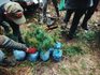 400 de puieți plantați în Munții Călimani pentru pădurile viitorului. Cercetătorii testează soluții de adaptare la schimbările climatice